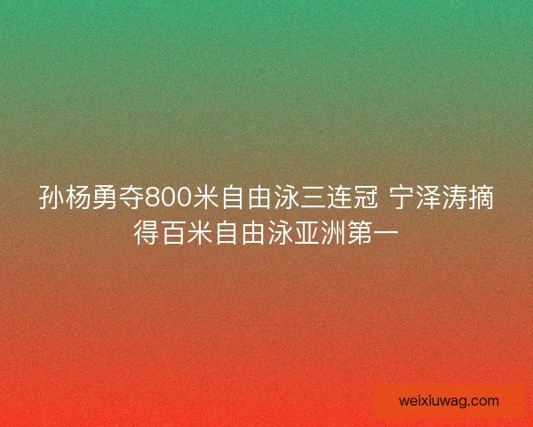 孙杨勇夺800米自由泳三连冠 宁泽涛摘得百米自由泳亚洲第一 孙杨勇夺800米自由泳三连冠 宁泽涛摘得百米自由泳亚洲第一